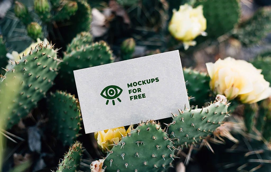 Download Business Card Among Cacti Mockup Mockups For Free