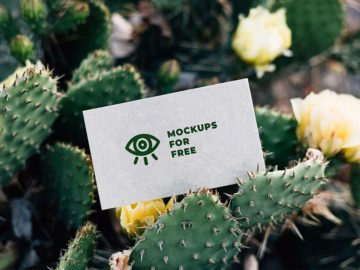 Business Card Among Cacti Mockup